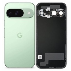 Google Pixel 9 Rear Housing Battery Door - Wintergreen